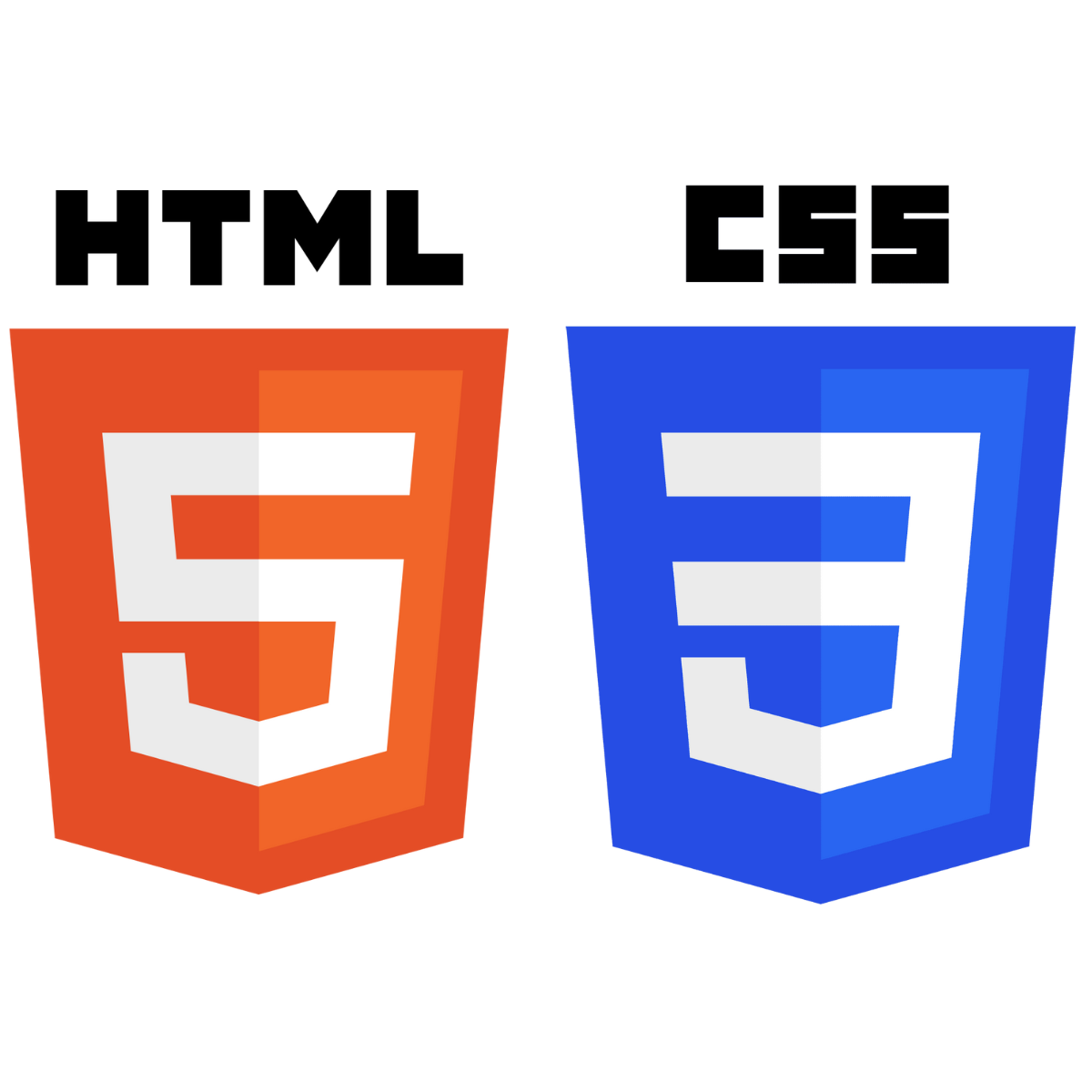 Modern HTML & CSS From The Beginning
